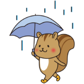 雨の日に傘をさすリス