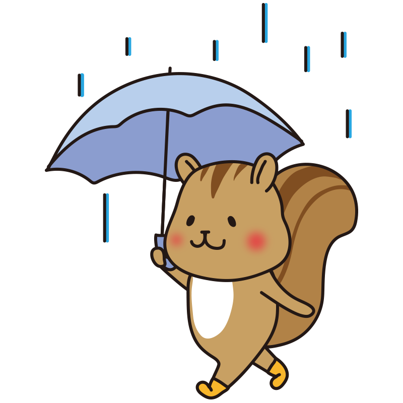 雨の日に傘をさすリス