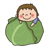 大きなキャベツの上に乗る子供（男の子）