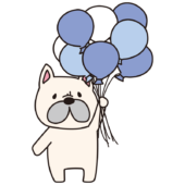 たくさんの青色の風船を持っているフレンチブルドッグ