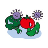 水にぬれた野菜に繁殖する菌