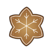 雪の結晶の形をしたアイシングクッキー3