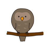 木の枝にとまったフクロウ