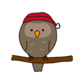 木の枝にとまっている赤い帽子をかぶったフクロウ