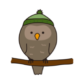 木の枝にとまっている緑色の帽子をかぶったフクロウ