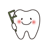 デンタルフロスを持っている歯