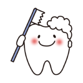 歯磨きしている歯