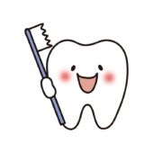 歯ブラシを持っている歯