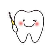 歯間ブラシを持っている歯