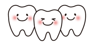 前後に並んだ歯