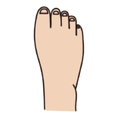 深爪をしている人の足