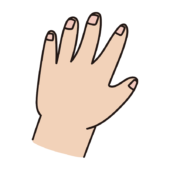 深爪をしている人の手