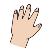 爪を綺麗に切っている人の手