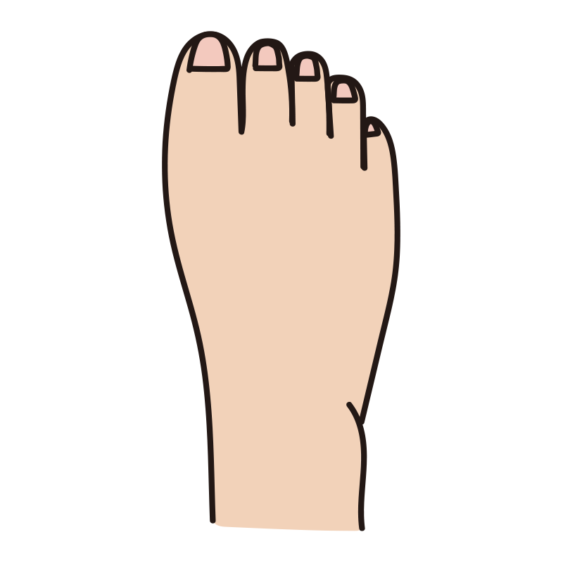 爪を綺麗に切っている人の足