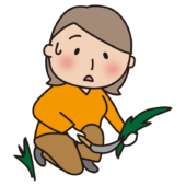 帽子をかぶらず草刈りをする大人の女性2