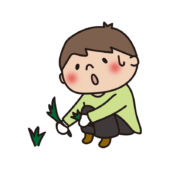 帽子をかぶらず草むしりをする子供（男の子）