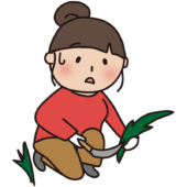 帽子をかぶらず草刈りをする大人の女性3