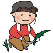 帽子をかぶって草刈りをする大人の女性3