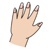 爪が伸びている人の手