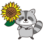 ヒマワリを持っているアライグマ