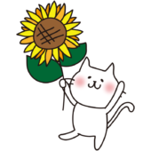 ヒマワリを持っている白い猫