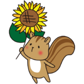 ヒマワリを持っているリス