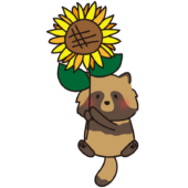 ヒマワリを持っているタヌキ