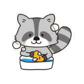 洗濯をするアライグマ