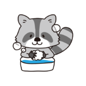 手を洗うアライグマ