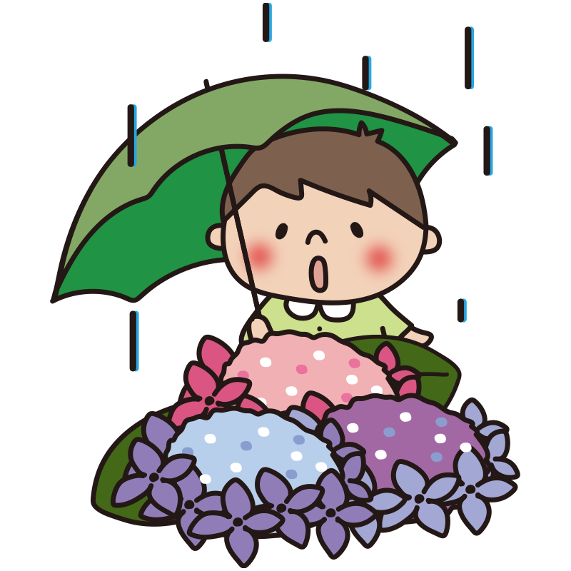 雨の日に傘をさして紫陽花を見つめる子供（男の子）