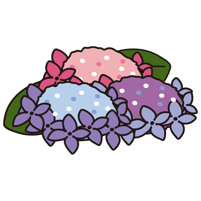 カラフルな紫陽花1