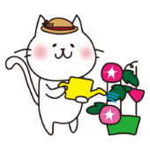 朝顔にお水をあげる白い猫