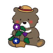 朝顔を持っているクマ