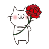 大きなカーネーションを持っている白い猫