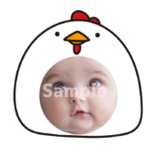 【顔はめ】にわとり