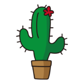 花の咲いたサボテン