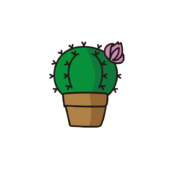 花の咲いた丸いサボテン