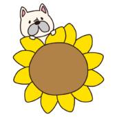 文字が書けるくらい大きなヒマワリに乗ったフレンチブルドッグ