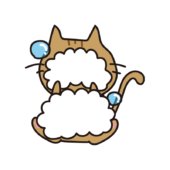 全身泡だらけの猫