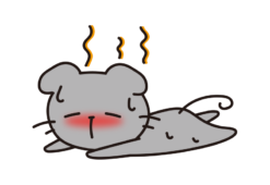 暑くてダウンしているネズミ