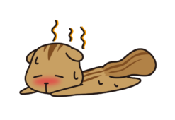 暑くてダウンしているリス