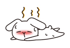 暑くてダウンしている白いうさぎ