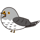 鳴くカッコウ
