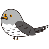 カッコウ