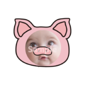 【顔はめ】ぶた