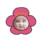 【顔はめ】梅の花3