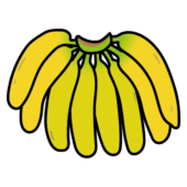 1房に8本ついているバナナ