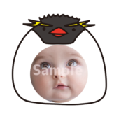 【顔はめ】イワトビペンギン