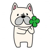 四つ葉のクローバーを持っているフレンチブルドッグ