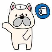 薬の説明をするナースキャップをかぶったフレンチブルドッグ